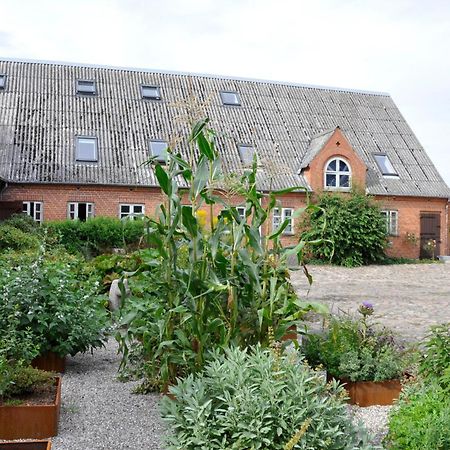 Lundsgaard Bed & Breakfast Faborg Bagian luar foto