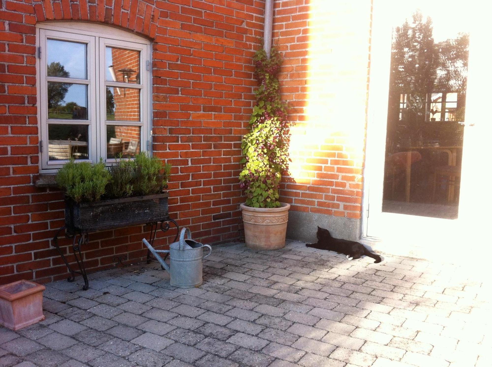 Lundsgaard Bed & Breakfast Faborg Bagian luar foto
