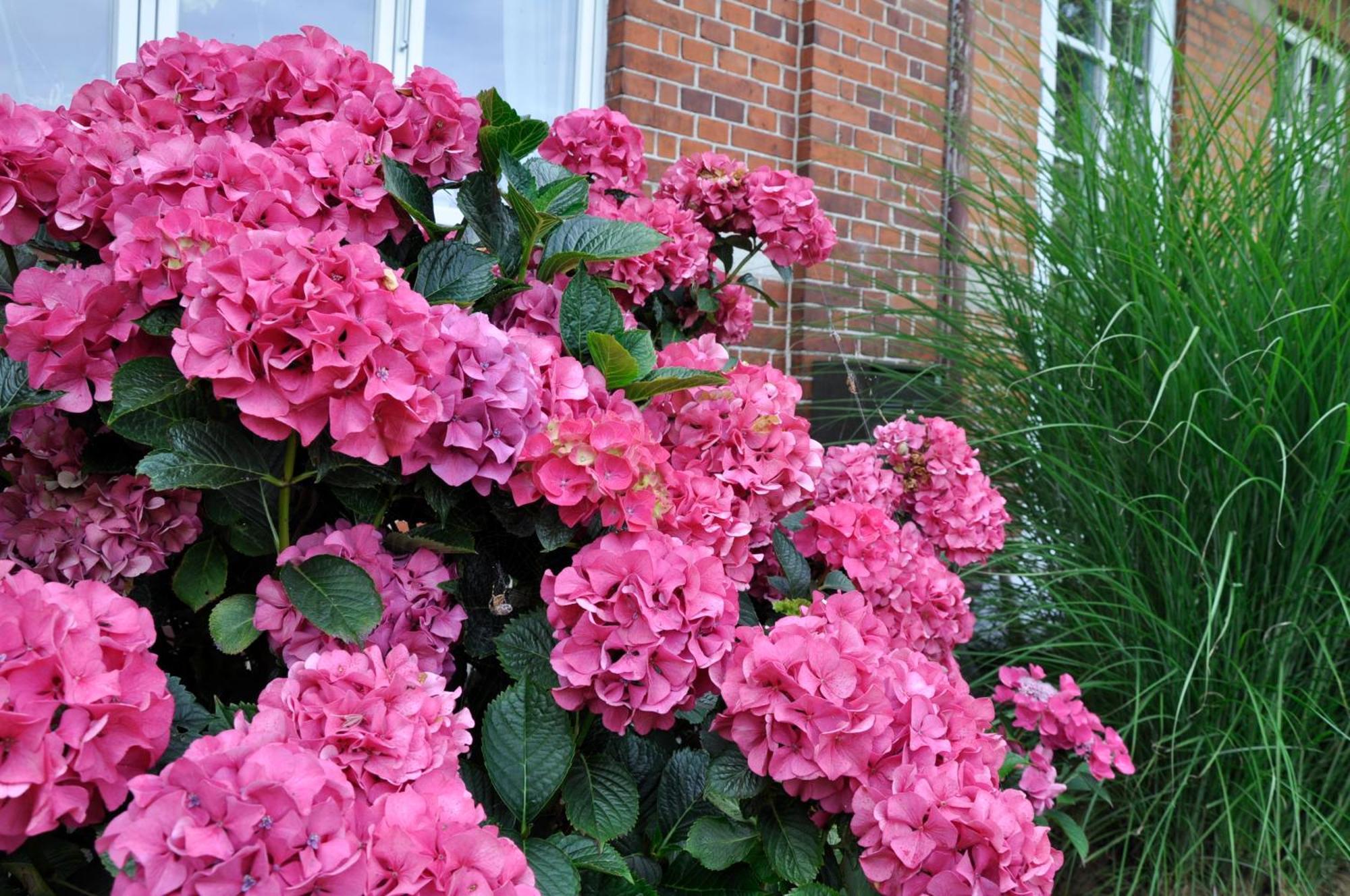Lundsgaard Bed & Breakfast Faborg Bagian luar foto