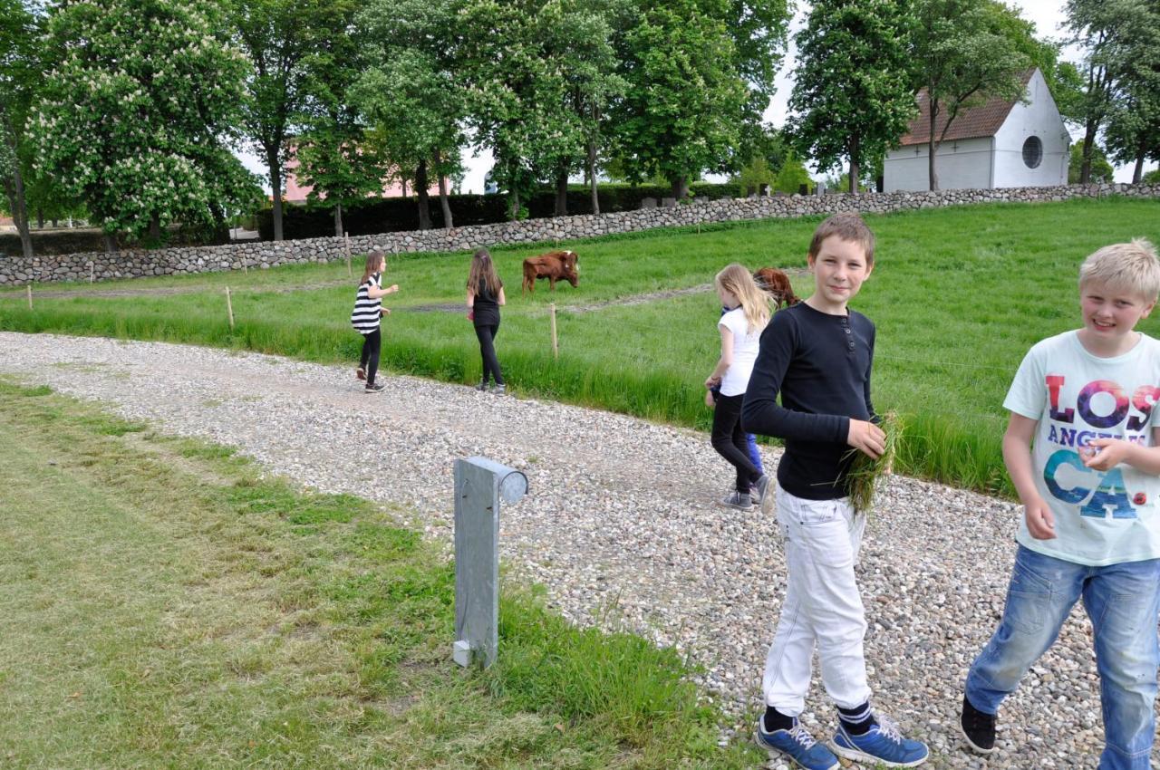 Lundsgaard Bed & Breakfast Faborg Bagian luar foto